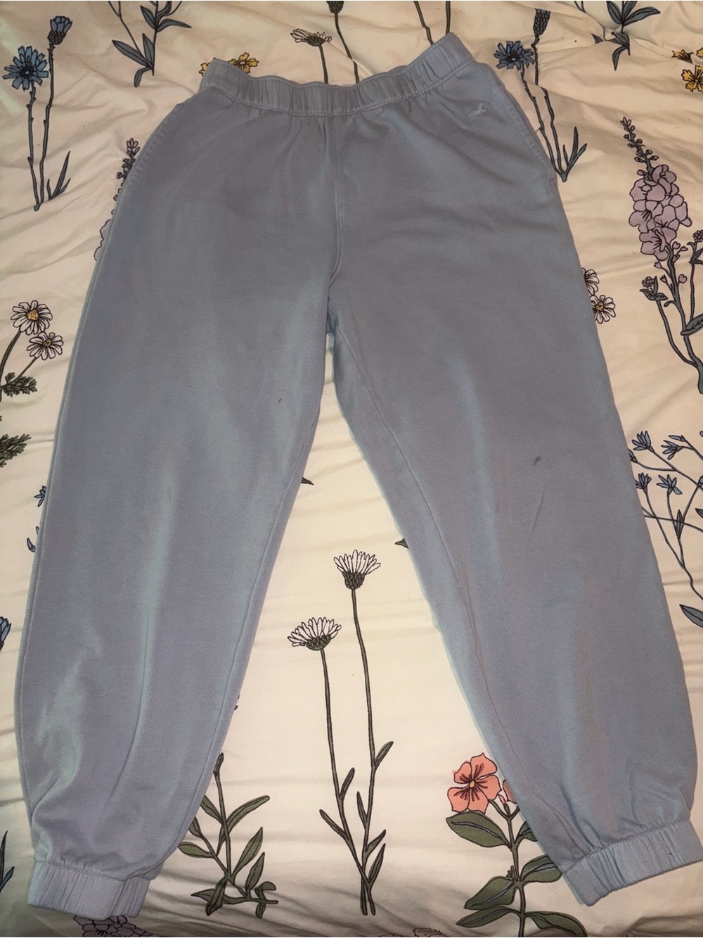 Hollister Light Blue Joggers
